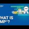 What is PMP® | Project Management Professional Certification | PMP® Certification | Edureka Rewind