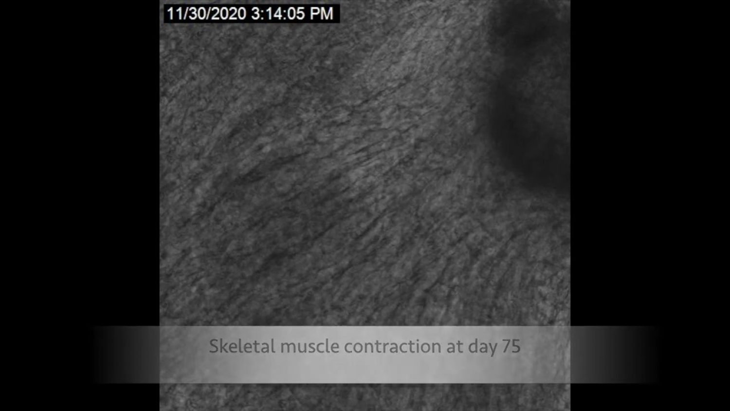 Preload Image