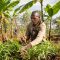 Restoring nature helps Burundi farmers adapt to climate change