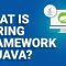 What Is Spring Framework In Java | Spring Framework Tutorial For Beginners  | Edureka Rewind