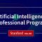 Artificial Intelligence Professional Program Overview