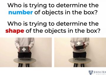 1733449475_maxresdefault.jpg