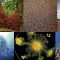 Self-organization at the origin of biological construction – Corina E Tarnita