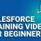 Salesforce Training Video For Beginners | Salesforce Admin 201 Training | Edureka Rewind