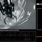 1733500712_maxresdefault.jpg