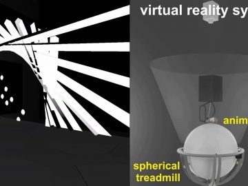 1733511694_maxresdefault.jpg