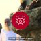 Introduction: Building a better future – Investing in resilient infrastructure for all