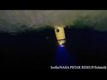 1733559244_hqdefault.jpg