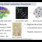 Tutorial on Neurobiology: Chris Lynn