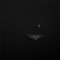 Evolutionary chance made the barbastelle bat a specialist hunter, says study