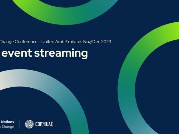 1733716181_maxresdefault.jpg