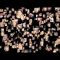 IPCC Scholarship Video