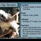 Live Animals: Species Survival Plan (2/12/2021)