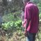 CBA Jamaica: UN Volunteers on Climate Change Issues in Glengoffe (UNV Video)