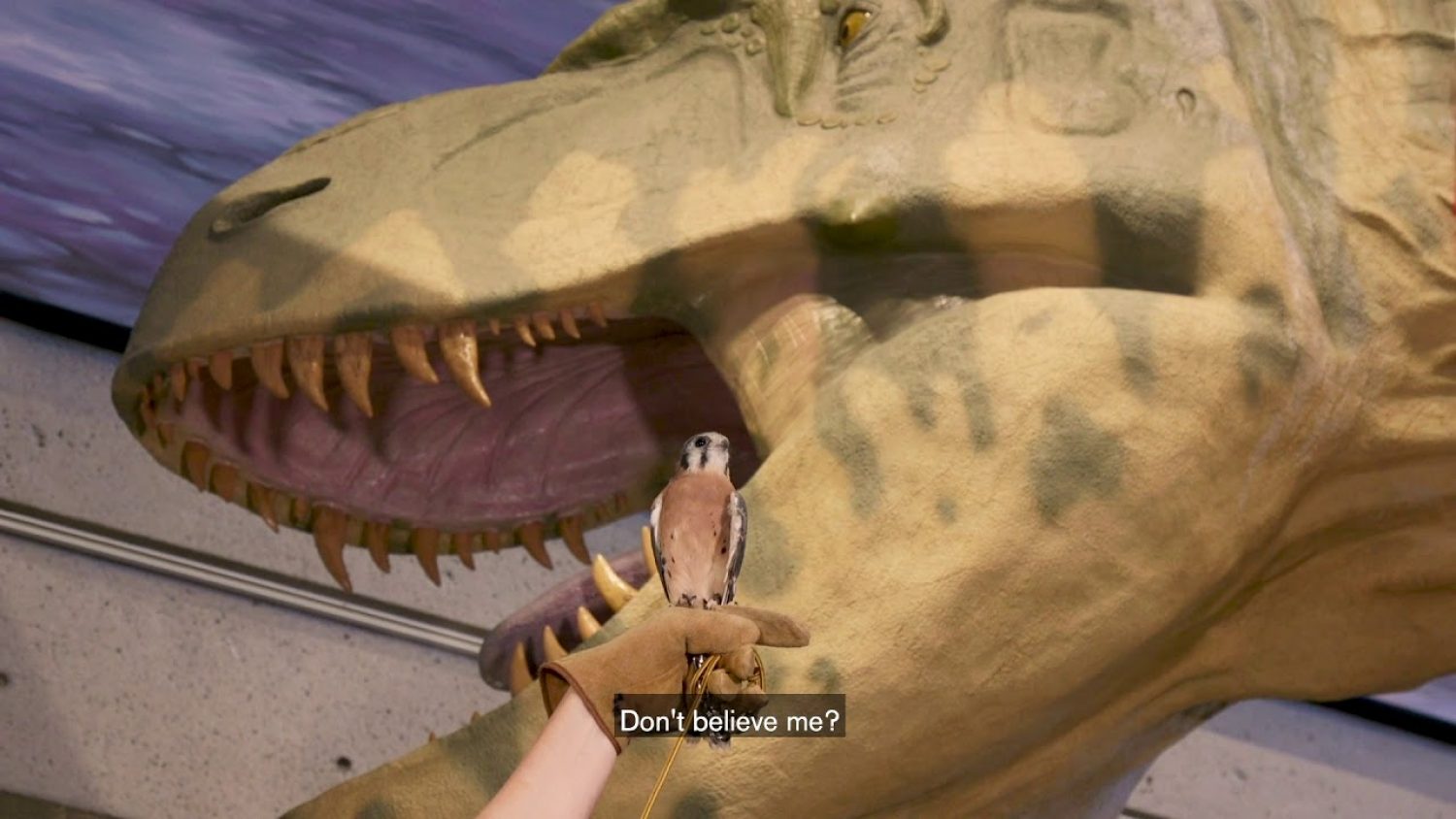 Preload Image