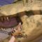 Did the Dinosaurs Disappear?