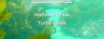 1733967033_maxresdefault.jpg