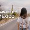 Sustainable lifestyles in Mexico