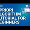 Apriori Algorithm Tutorial For Beginners  | Association Rule Mining  | Data Science | Edureka Rewind