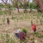 1734079110_maxresdefault.jpg