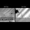Examining how the world’s largest water striders jump on water