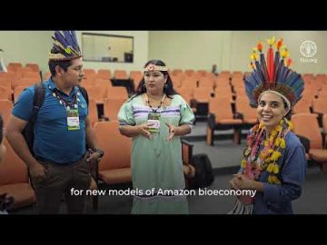 1734120701_hqdefault.jpg