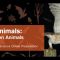 Live Animals: Halloween
