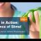 Science in Action: The Science of Slime! (10/21/20)