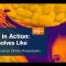 Science in Action: Like Dissolves Like (10/20/2020)