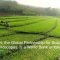 PROGREEN, the Global Partnership for Sustainable and Resilient Landscapes