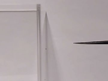 1734244156_maxresdefault.jpg