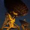 Clamor of gravitational waves from universe’s merging supermassive black holes heard for first time