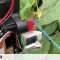 Using fake raspberries to train robots how to pick real ones
