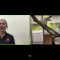 Live Animals: Unusual Colors in Nature (9/25/2020)