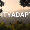 Regreening San Salvador to fight climate change