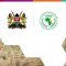 Disaster Risk Governance in the Context of Systemic Risks and COVID-19