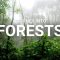 Wild For Life Journeys – Forests