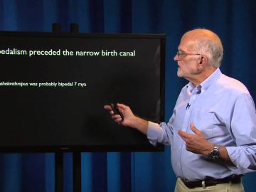 1734418952_maxresdefault.jpg