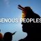 Who defends the defenders? – #IndigenousPeoplesDay 2020