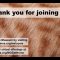 Live Animals: Playing Dead (8/20/2020)