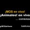 MOS en Espanol: Animales en vivo