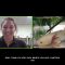 Live Animals: Unique Amphibians (8/13/2020)