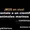 Pregúntale a un científicx: animales marinos (8/13/2020)