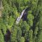 “Forests make us more resilient”- COP23 Global Climate Action Day on Forests