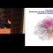 Raissa D’Souza – “The Science of Networks” (C4 Public Lectures)