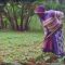 “Agriculture Can be Part of the Solution”- Global Climate Action Day on Agriculture