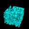 A journey to the origins of multicellular life: Long-term experimental evolution in the lab