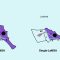 The seahorse has two tendons that allows it to lift its head and suck in prey at high speed