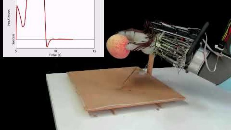 1734779082_hqdefault.jpg