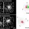 Euchromatin is not really open in living cells, shows study